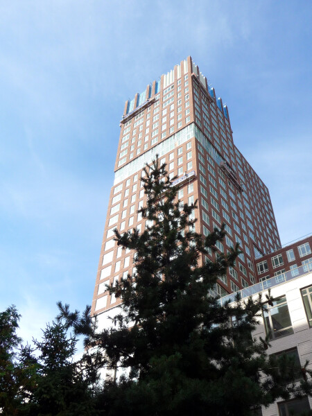 The Clarendon