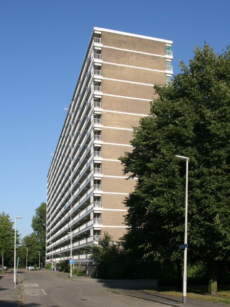 Stresemann Flat