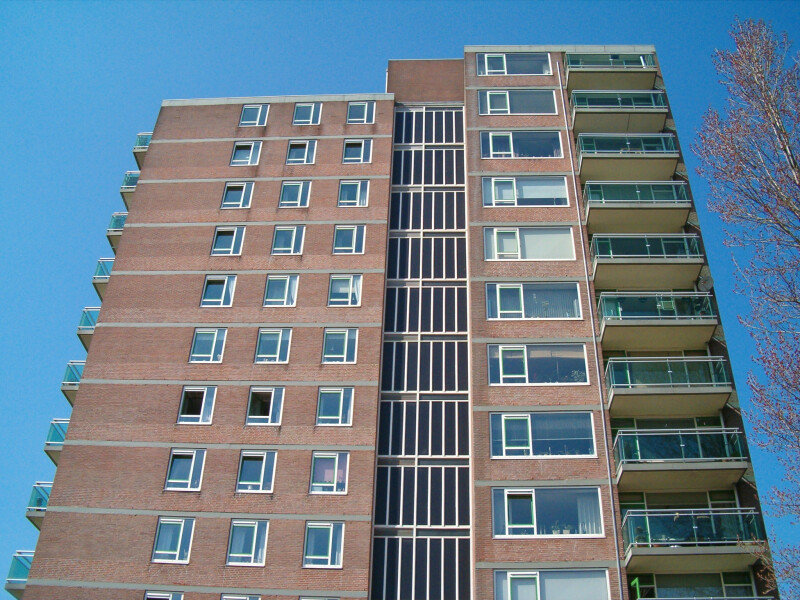 Boterbloem